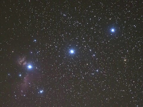 Leaked sophoco header onlyfans leaked