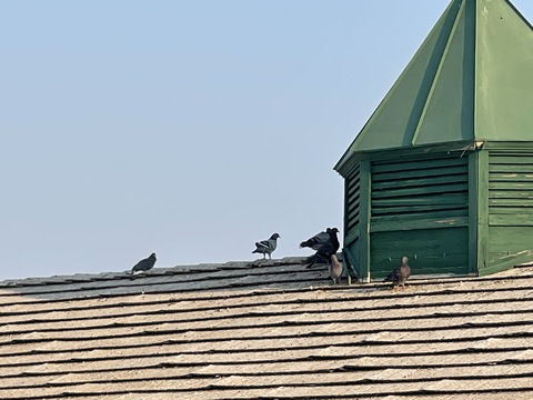 Leaked sourpurplesativa header onlyfans leaked