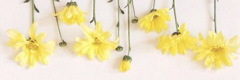 Leaked southernbellekeh header onlyfans leaked