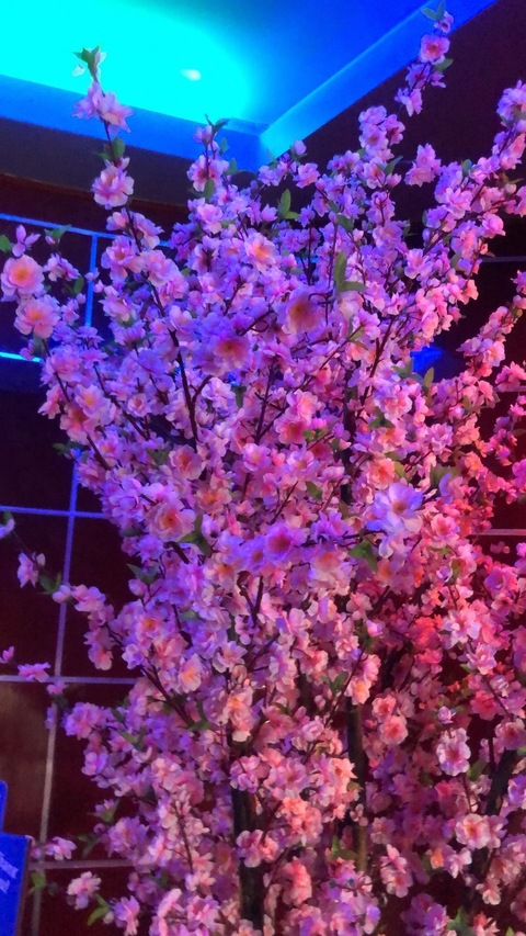 Leaked sp00kybabelili header onlyfans leaked