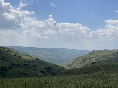 Leaked spsrunner header onlyfans leaked