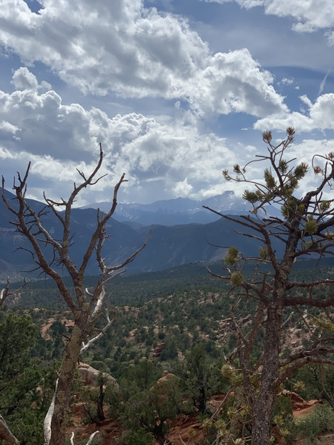 Leaked ssnoww header onlyfans leaked