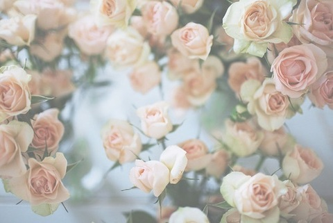 Leaked st3llasparks header onlyfans leaked