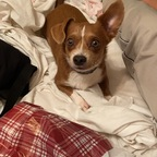 starpowwa Profile Picture