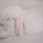 Leaked starry onlyfans leaked