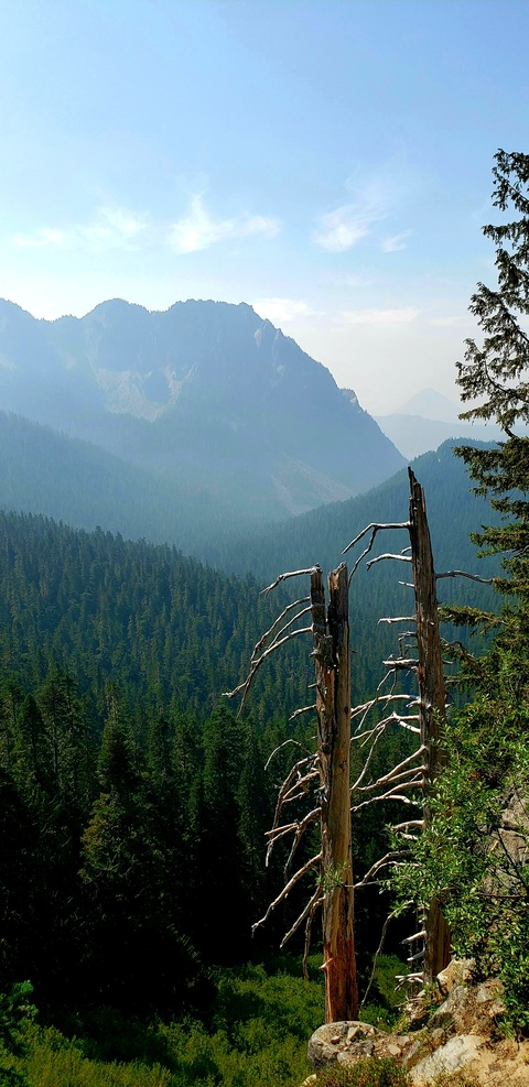 Leaked staypuff_ header onlyfans leaked