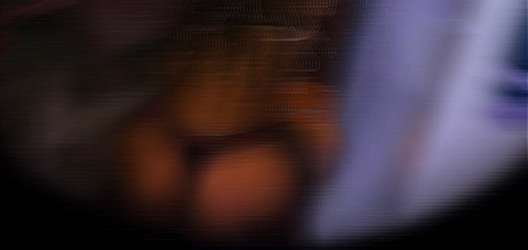 Leaked stazzerbrazzer header onlyfans leaked