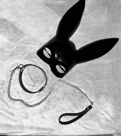 Leaked stell.a_1804 header onlyfans leaked