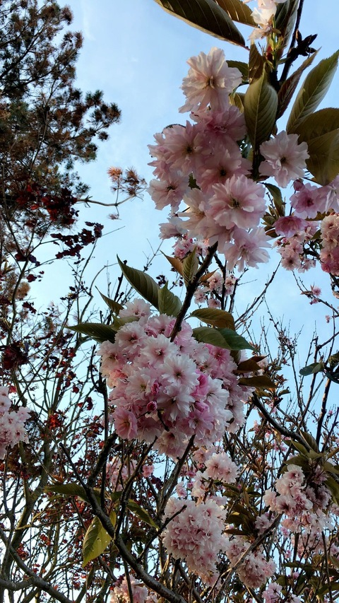 Leaked stickytoffeepudding header onlyfans leaked