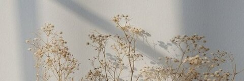 Leaked sugarivy header onlyfans leaked