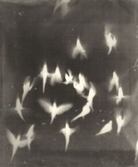 Leaked suicideboys header onlyfans leaked