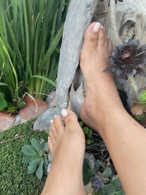 Leaked sunandseam header onlyfans leaked