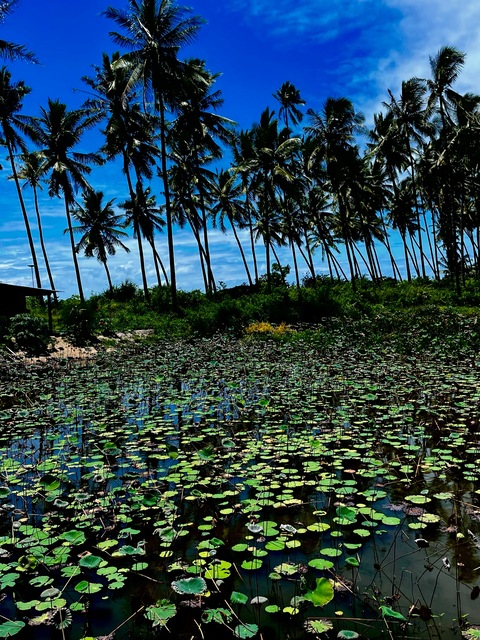 Leaked sundazzze header onlyfans leaked