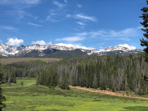 Leaked supple-petals header onlyfans leaked