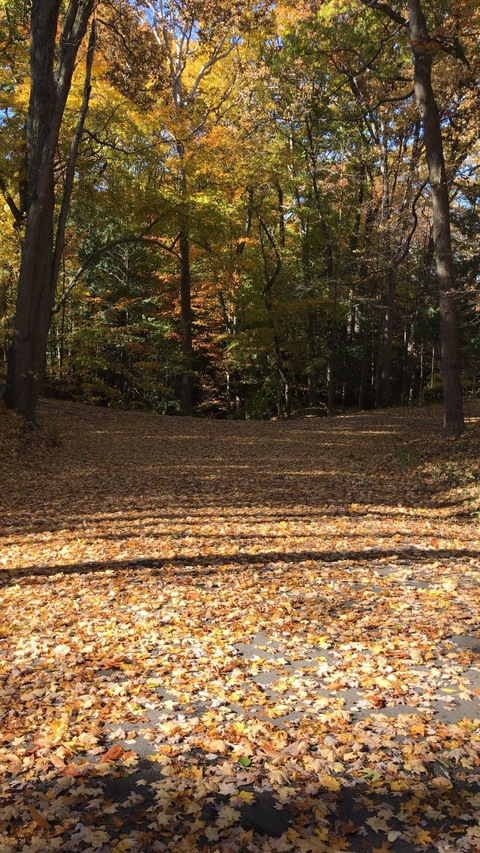 Leaked swags header onlyfans leaked