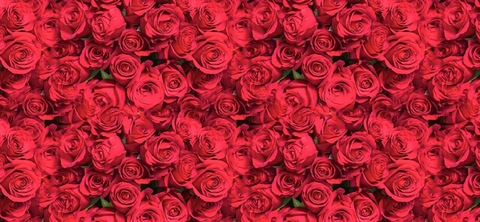 Leaked sweetbubblez94 header onlyfans leaked