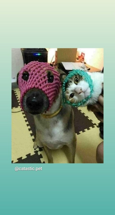 Leaked sweetest_lemon header onlyfans leaked