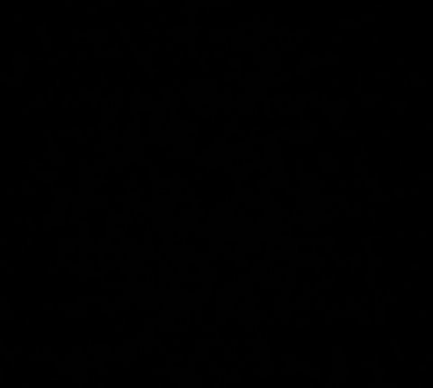 Leaked sweetiebanks header onlyfans leaked