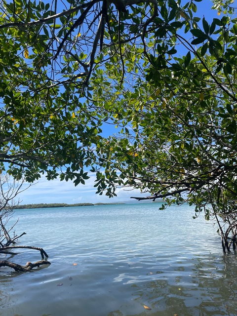 Leaked sweetlikefruit.com header onlyfans leaked