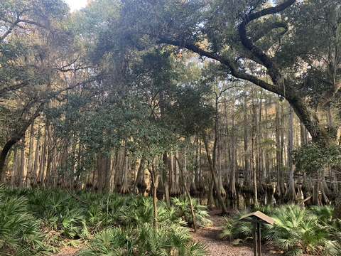 Leaked sweetriss header onlyfans leaked