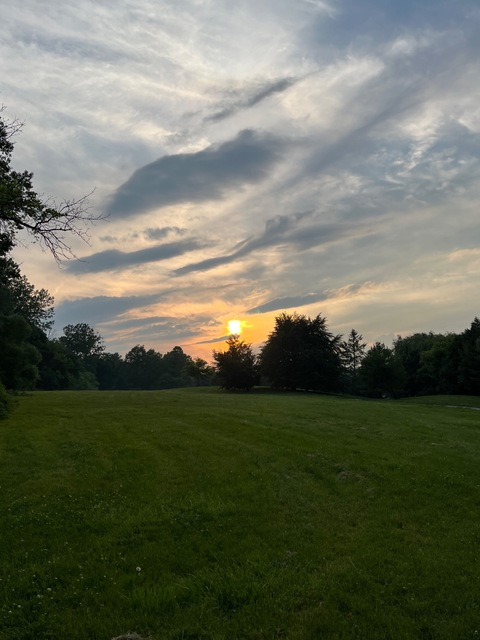 Leaked sweetxbee header onlyfans leaked