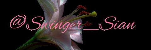 Leaked swinger_sian header onlyfans leaked