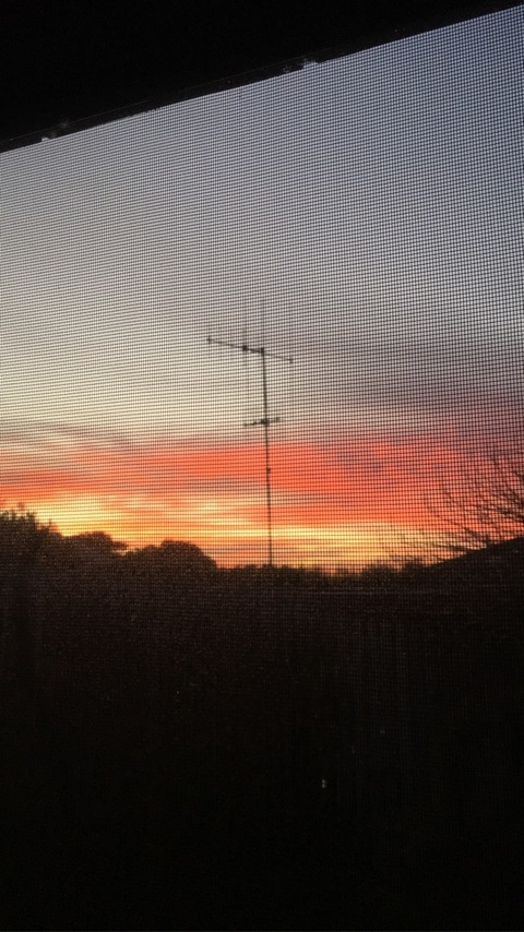 Leaked tabbycat1 header onlyfans leaked