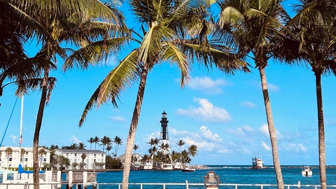 Leaked tallgringo header onlyfans leaked