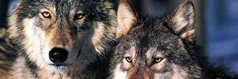 Leaked targaryen6215 header onlyfans leaked