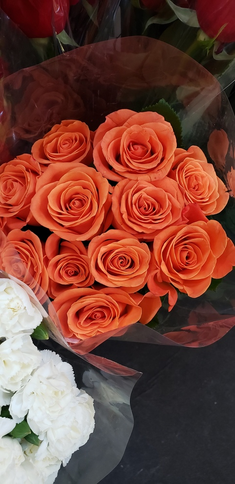 Leaked tasteytemptation header onlyfans leaked