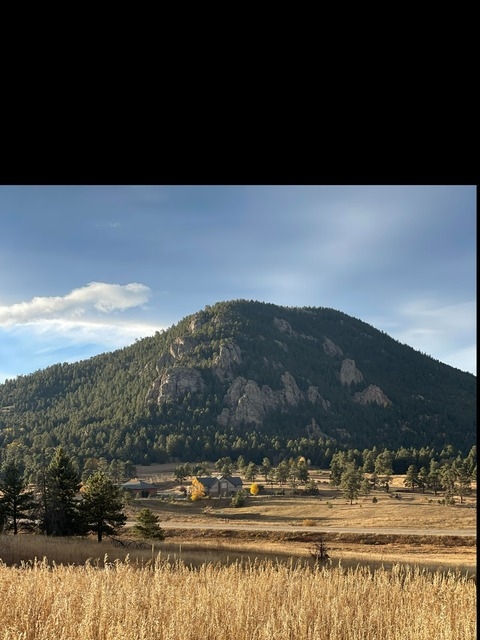 Leaked tattedwildwest header onlyfans leaked