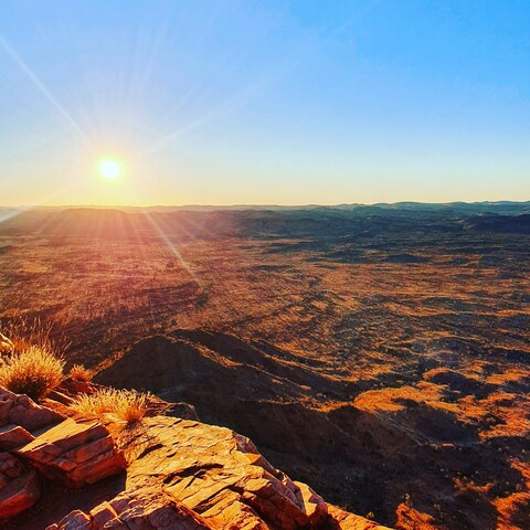 Leaked tattooed-daddy-bod header onlyfans leaked