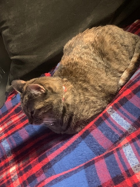 Leaked taylorburns1116 header onlyfans leaked