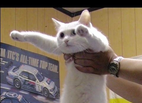 Leaked taylro header onlyfans leaked