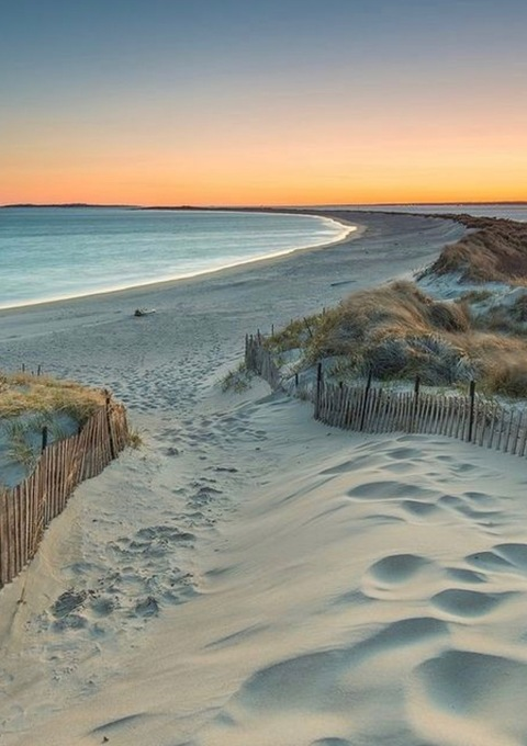 Leaked tehalow header onlyfans leaked