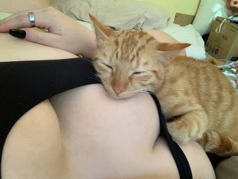 Leaked teleahjade header onlyfans leaked