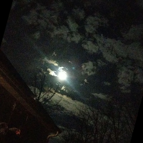 Leaked temptress32 header onlyfans leaked