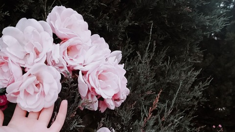 Leaked tender_ness header onlyfans leaked