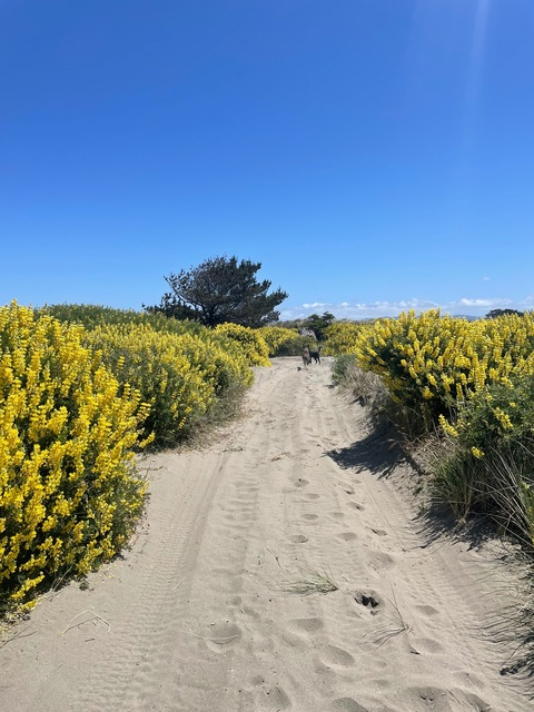 Leaked th3blackrav3n header onlyfans leaked