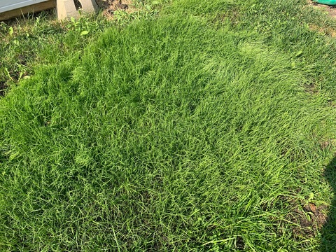 Leaked thatcatdad header onlyfans leaked