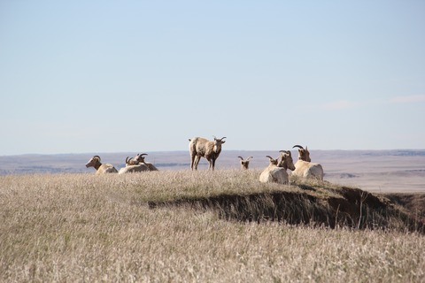 Leaked thatgayguymatty header onlyfans leaked