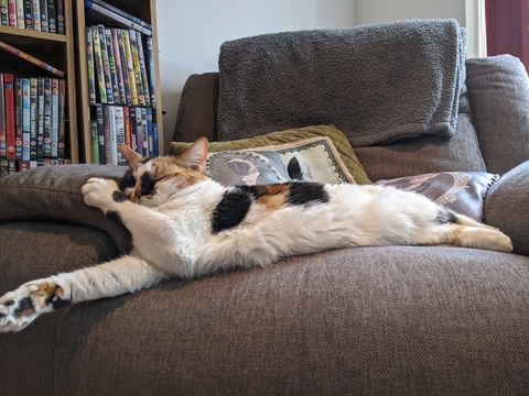 Leaked thebabybelleson header onlyfans leaked