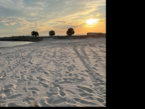 Leaked thebighairybear header onlyfans leaked