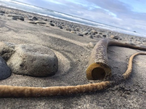 Leaked thecatholicbrat header onlyfans leaked