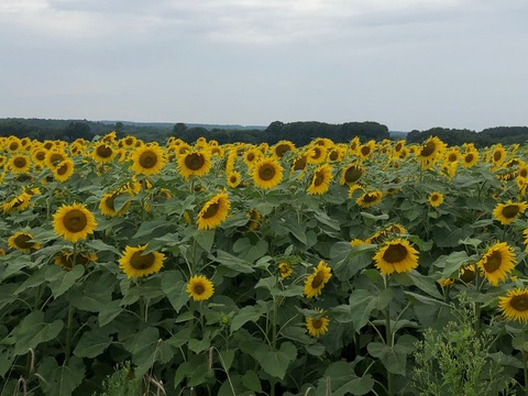 Leaked thefishingchickk header onlyfans leaked