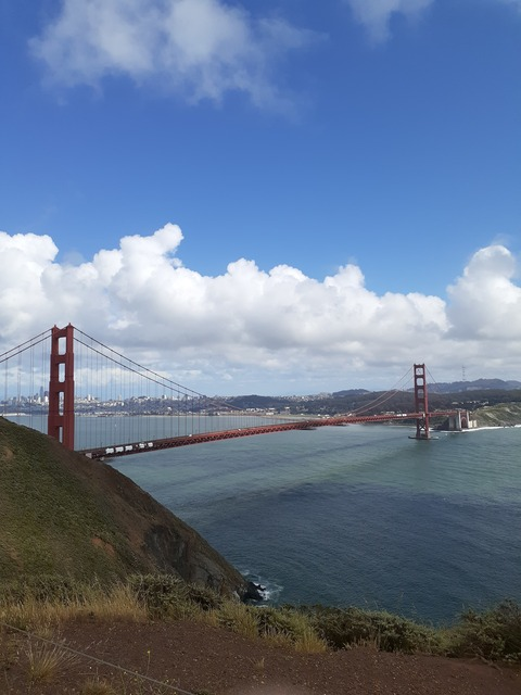 Leaked thejoeybowie header onlyfans leaked