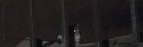 Leaked thelittlelover header onlyfans leaked