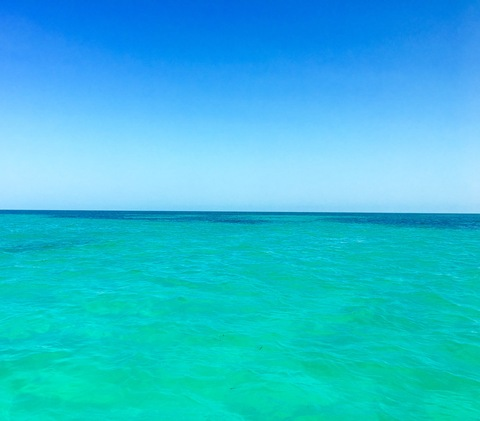 Leaked thickishbrunette header onlyfans leaked