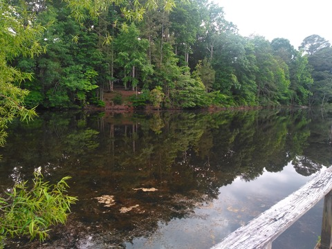 Leaked thisisme42069 header onlyfans leaked