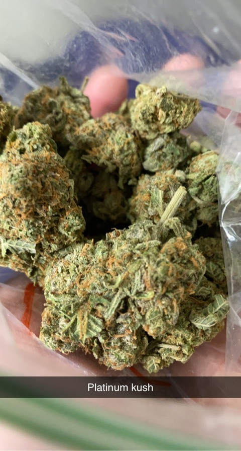 Leaked timmyb0y header onlyfans leaked